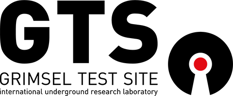 Grimsel logo
